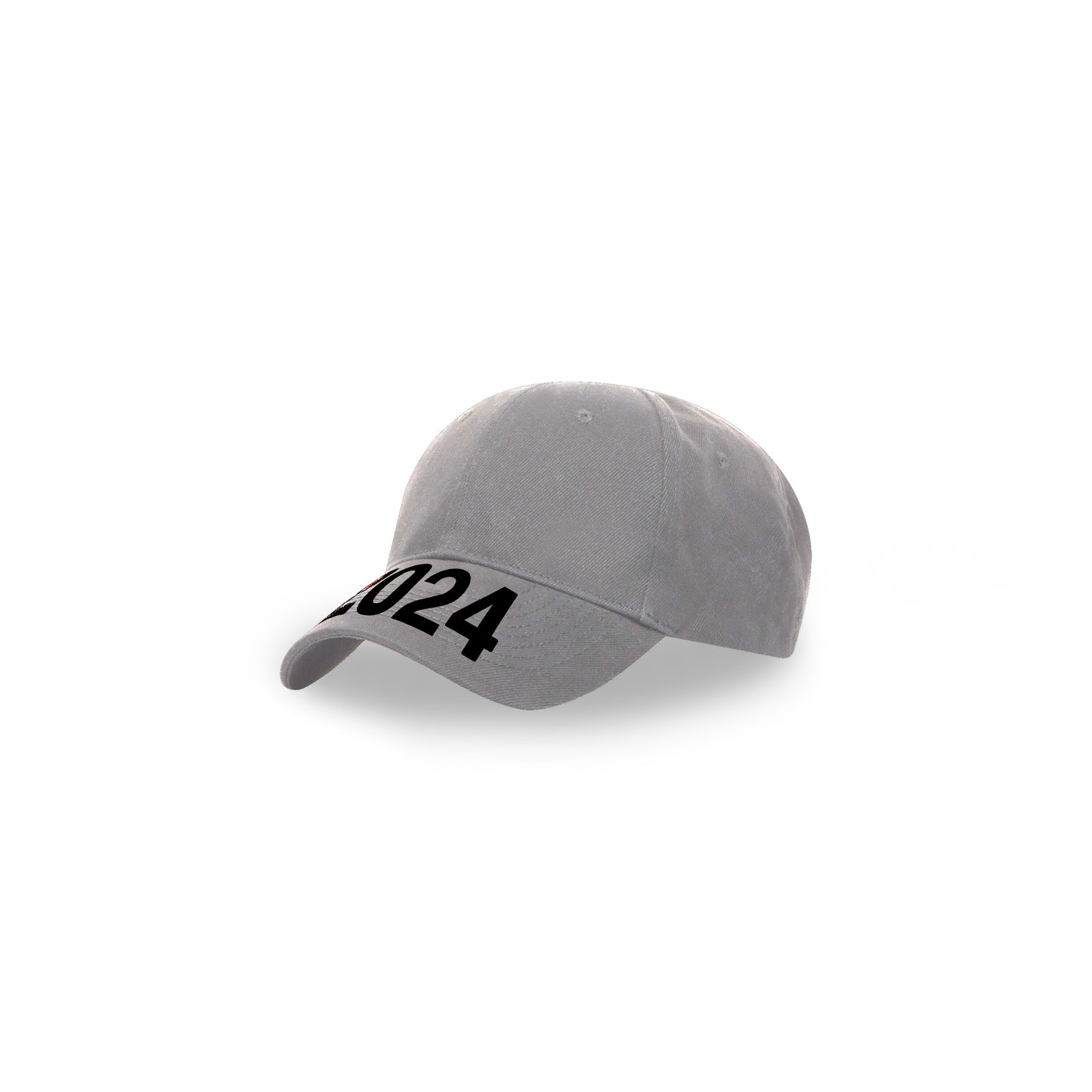Grey 2024 Hat